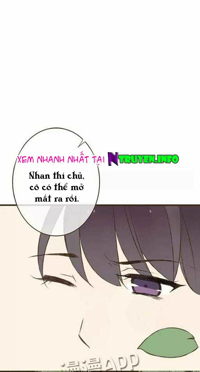 Trên Trời Rớt Xuống Một Hòa Thượng Ngốc: Chapter 13