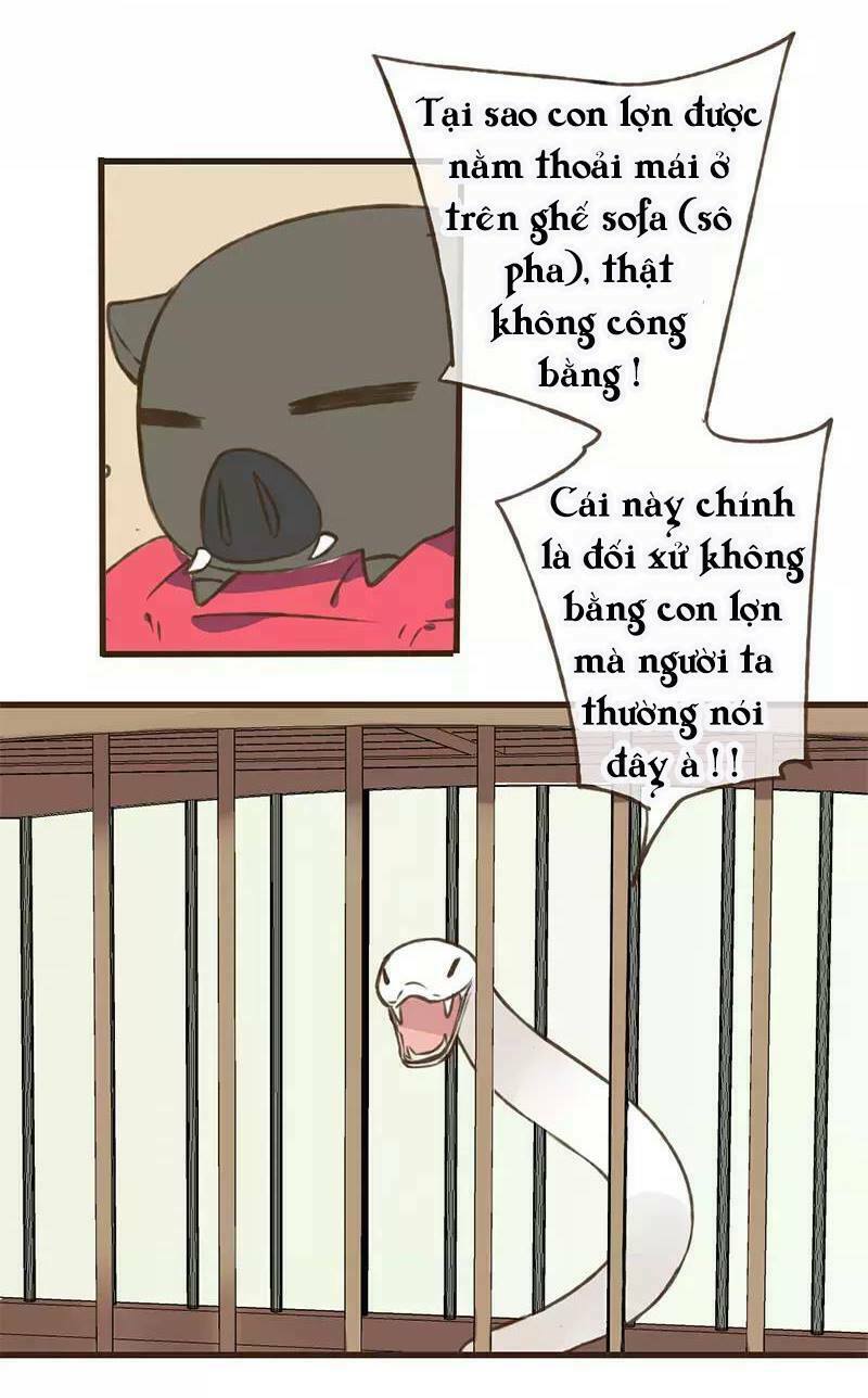 Trên Trời Rớt Xuống Một Hòa Thượng Ngốc: Chapter 38: + 39