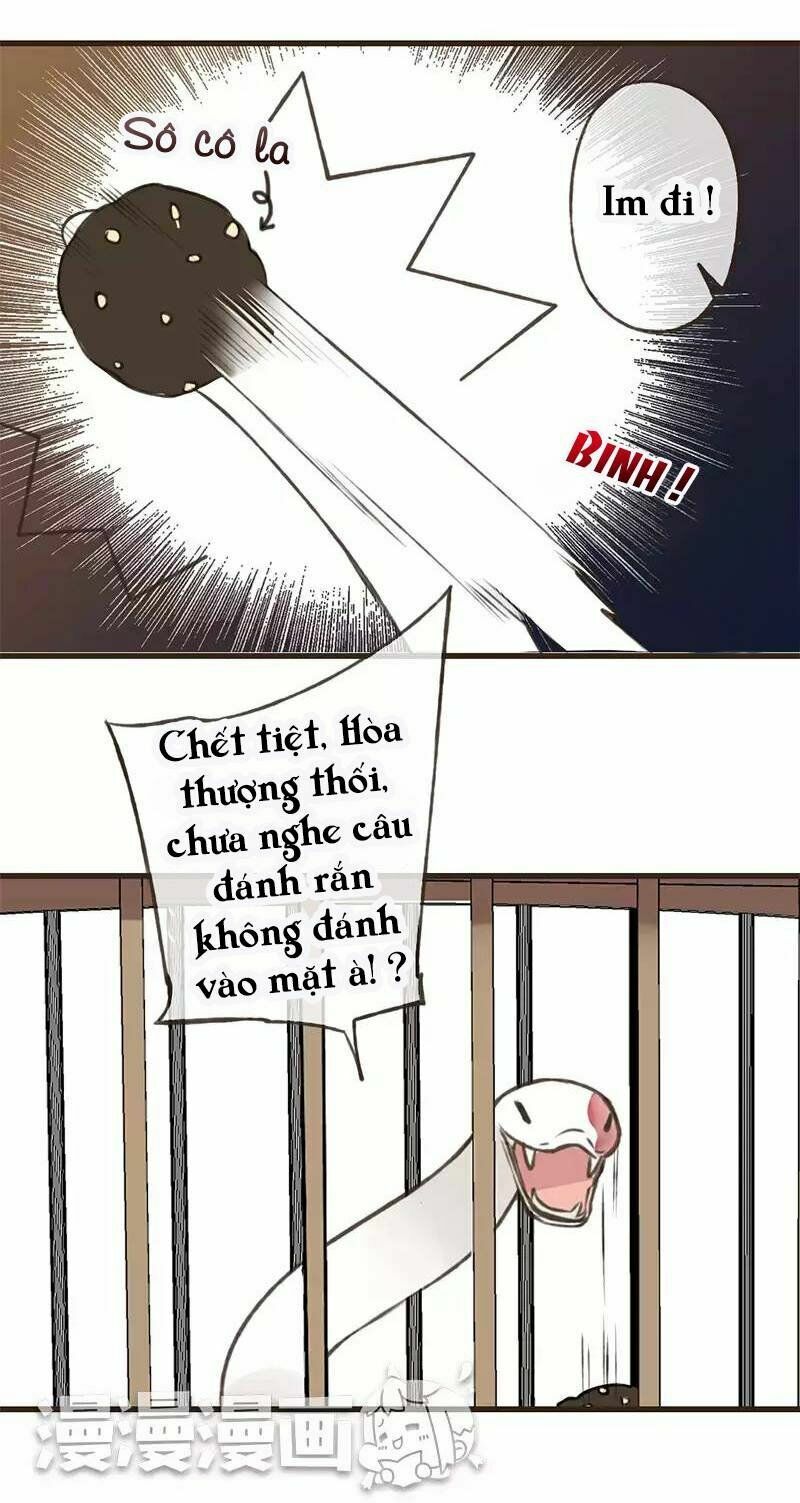 Trên Trời Rớt Xuống Một Hòa Thượng Ngốc: Chapter 40