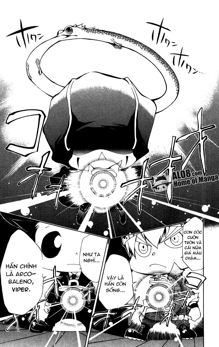 Reborn: Người đào tạo sát thủ: Chapter 114