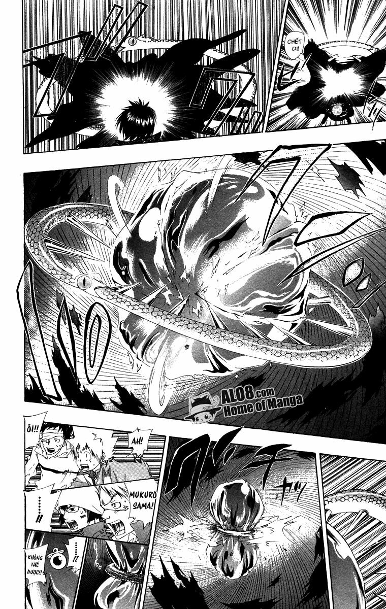 Reborn: Người đào tạo sát thủ: Chapter 116