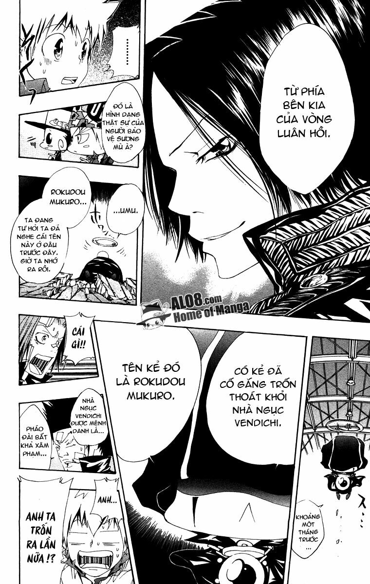 Reborn: Người đào tạo sát thủ: Chapter 116