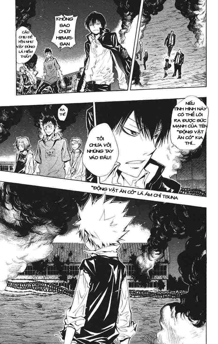 Reborn: Người đào tạo sát thủ: Chapter 123