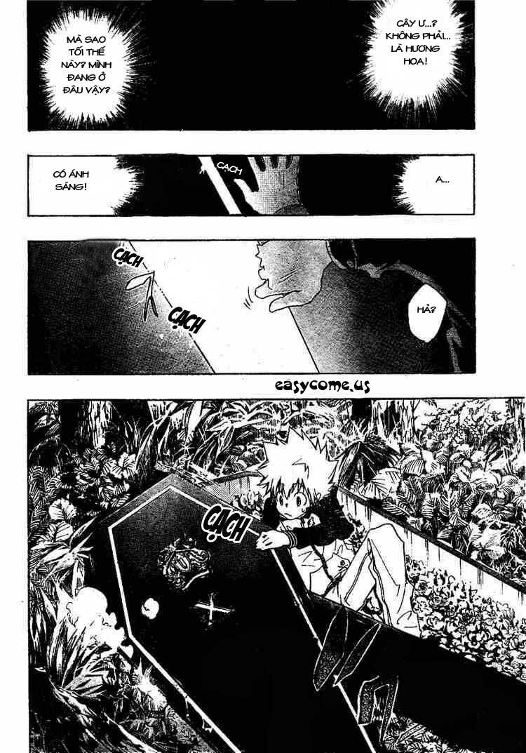 Reborn: Người đào tạo sát thủ: Chapter 136