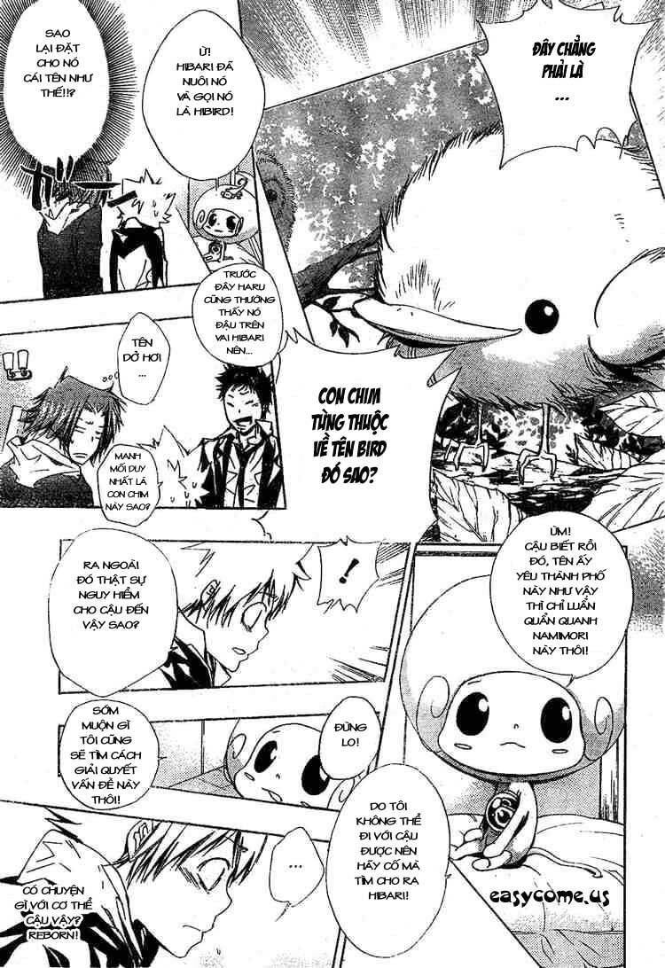 Reborn: Người đào tạo sát thủ: Chapter 141