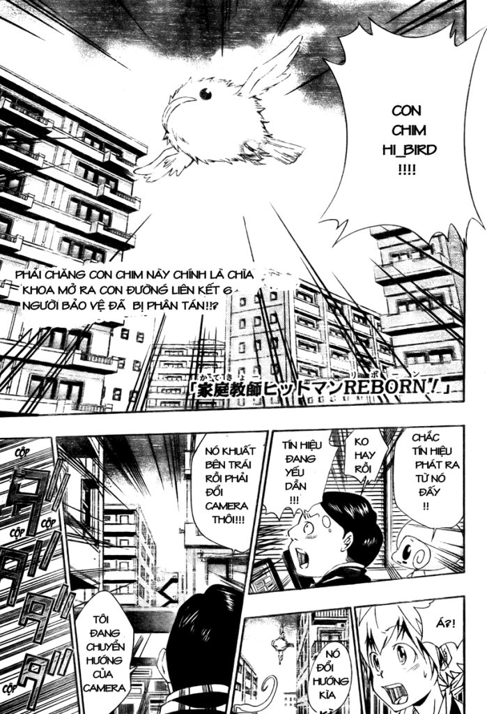Reborn: Người đào tạo sát thủ: Chapter 149