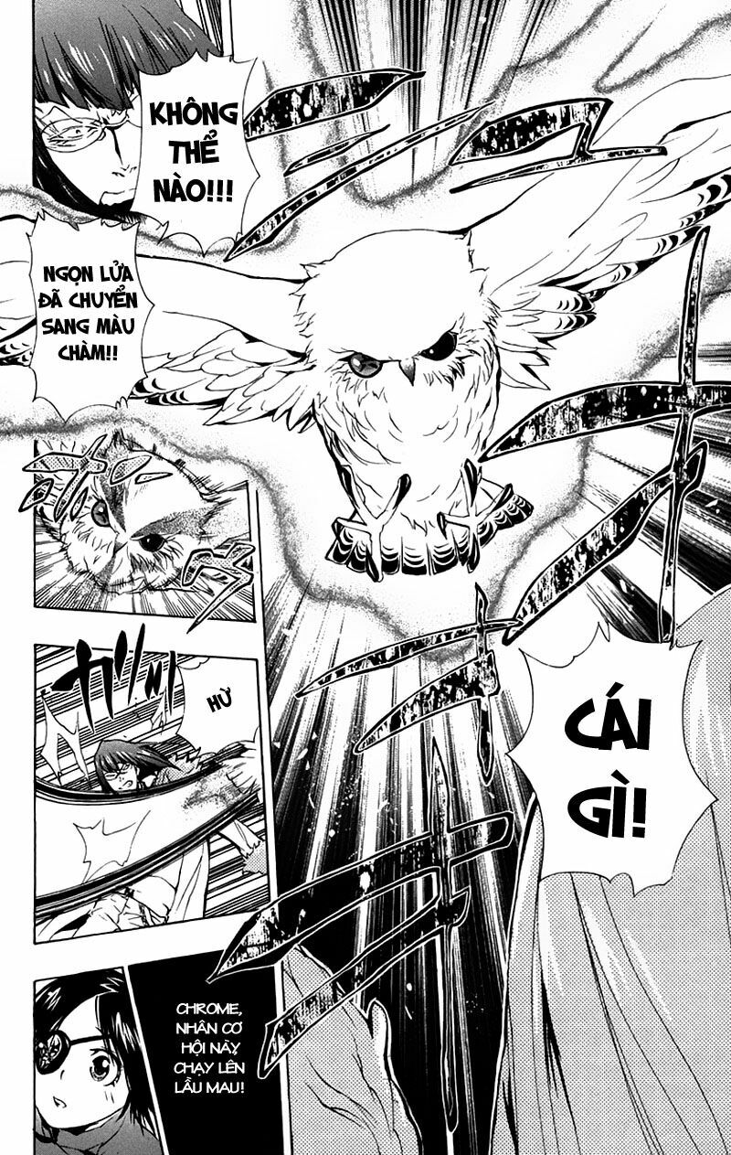 Reborn: Người đào tạo sát thủ: Chapter 164