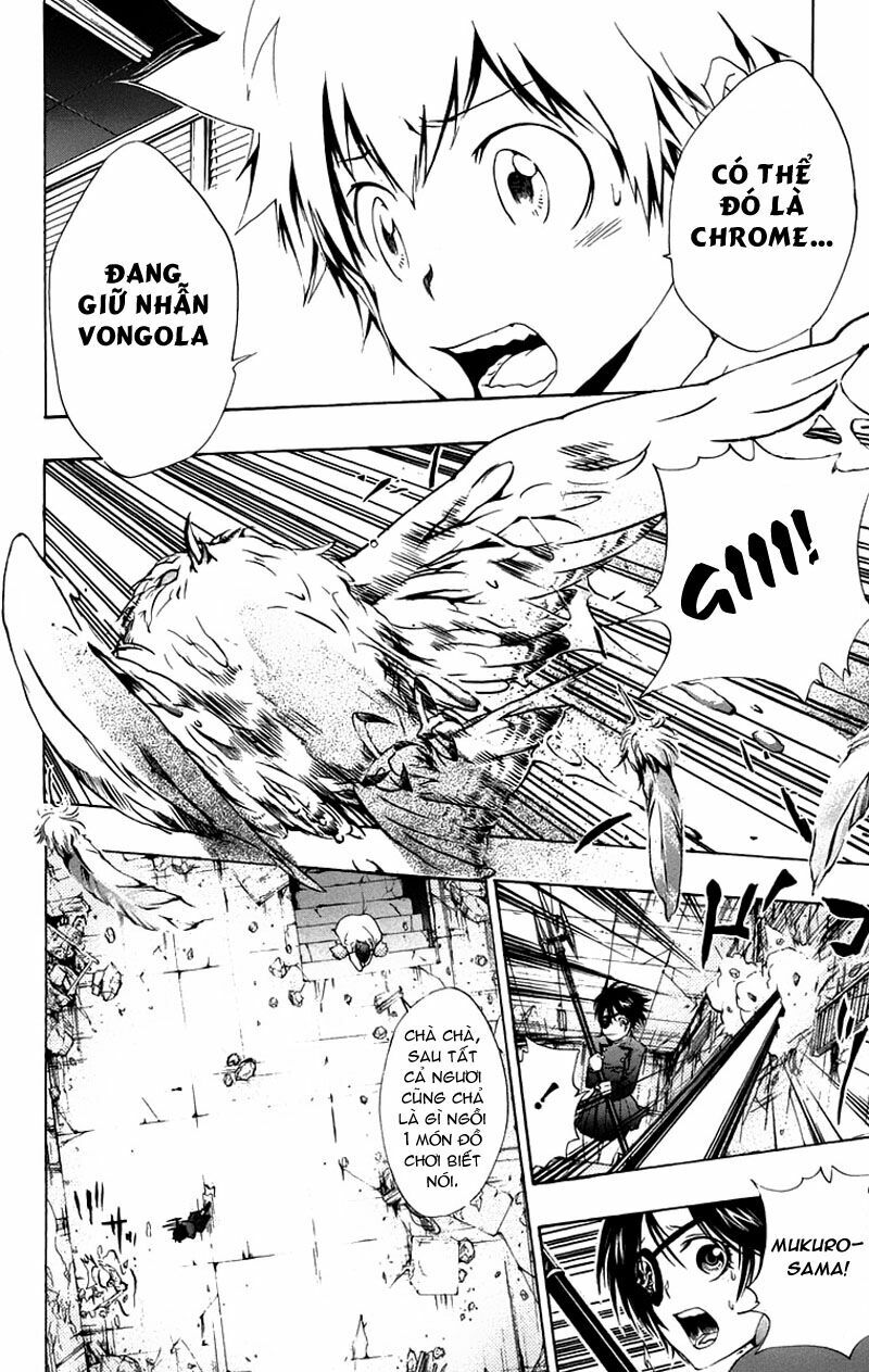 Reborn: Người đào tạo sát thủ: Chapter 164