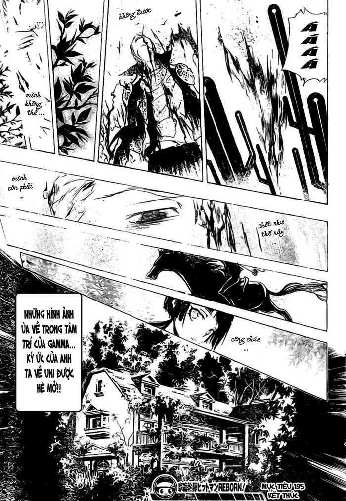 Reborn: Người đào tạo sát thủ: Chapter 195
