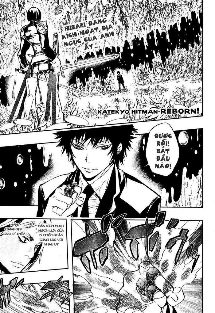 Reborn: Người đào tạo sát thủ: Chapter 204