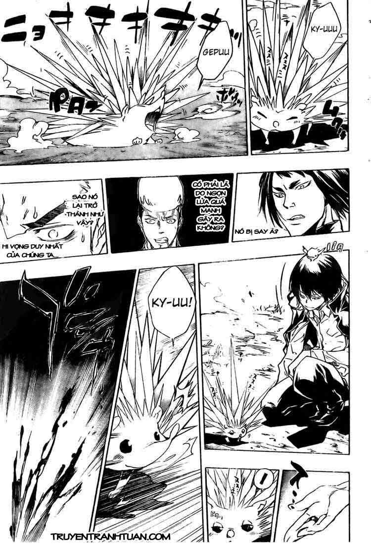 Reborn: Người đào tạo sát thủ: Chapter 210