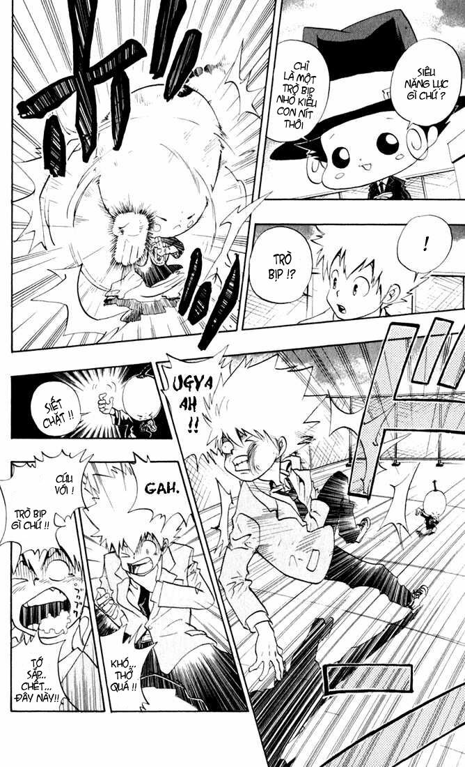Reborn: Người đào tạo sát thủ: Chapter 23