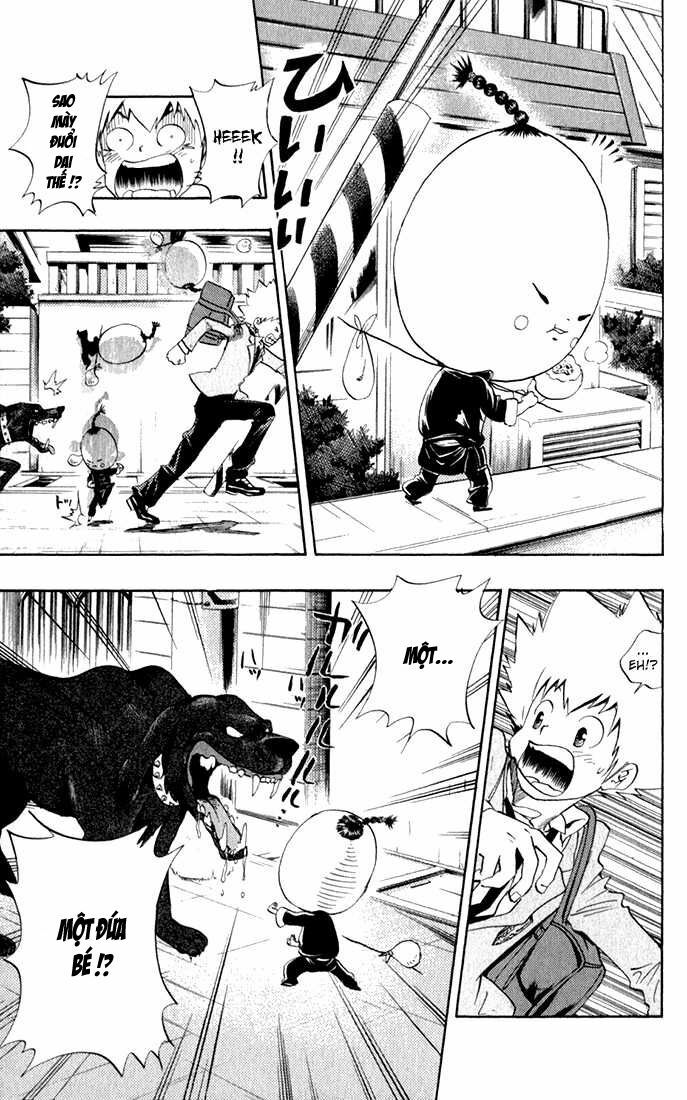 Reborn: Người đào tạo sát thủ: Chapter 23