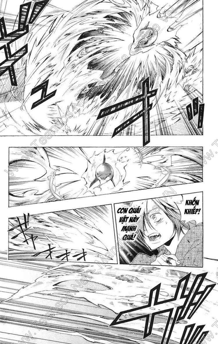 Reborn: Người đào tạo sát thủ: Chapter 234