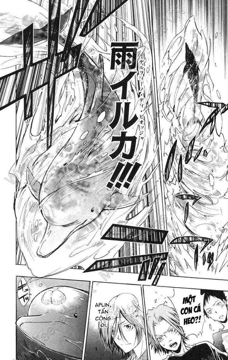 Reborn: Người đào tạo sát thủ: Chapter 234