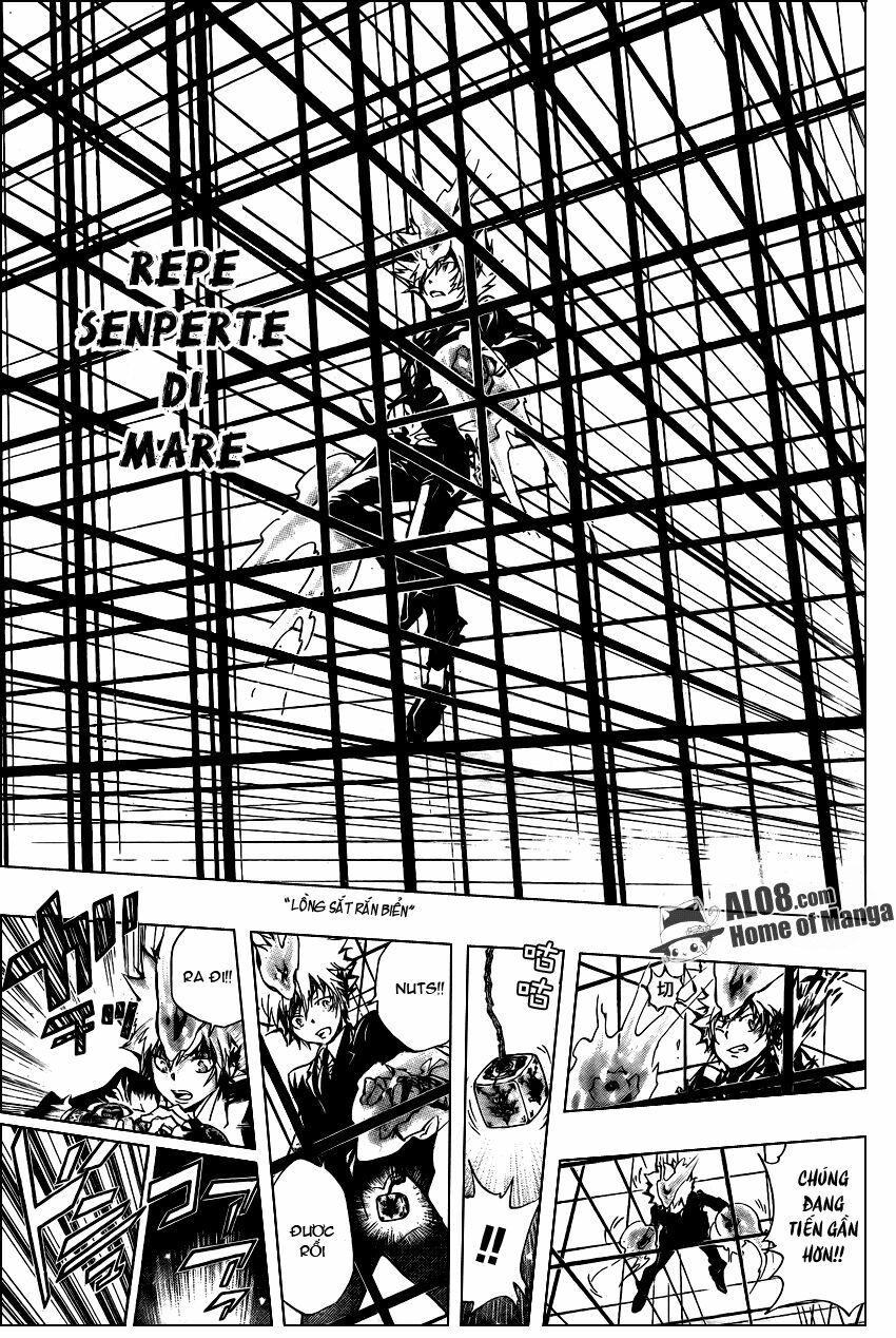 Reborn: Người đào tạo sát thủ: Chapter 244