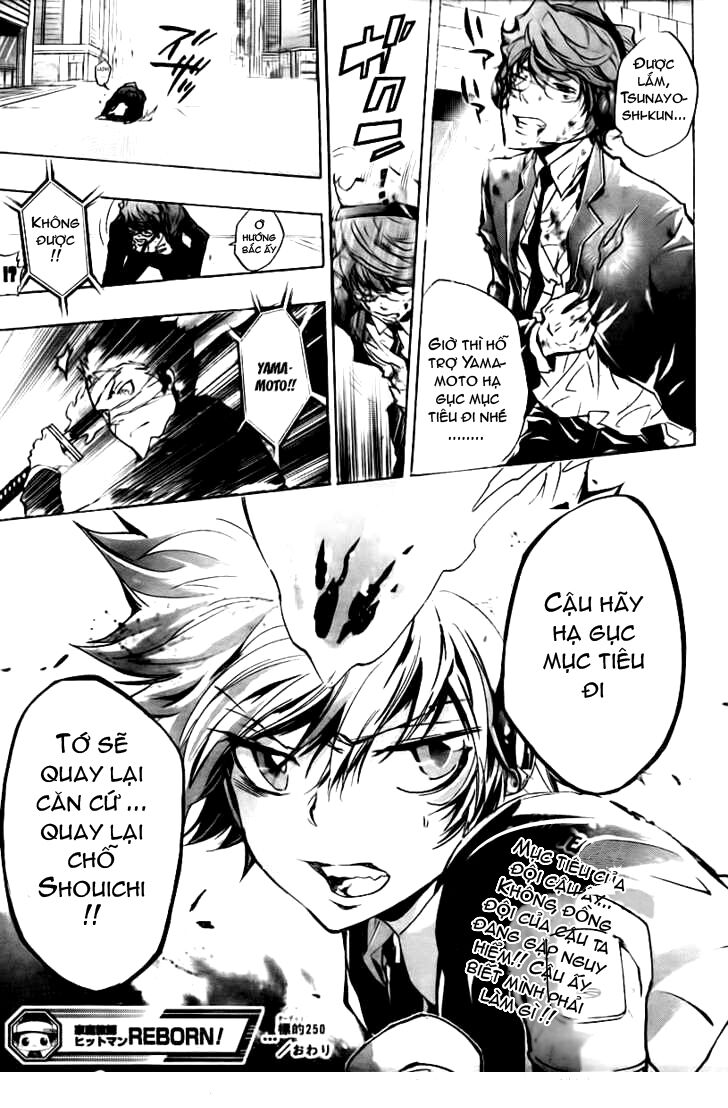 Reborn: Người đào tạo sát thủ: Chapter 250
