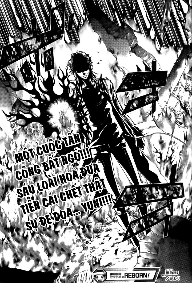 Reborn: Người đào tạo sát thủ: Chapter 257