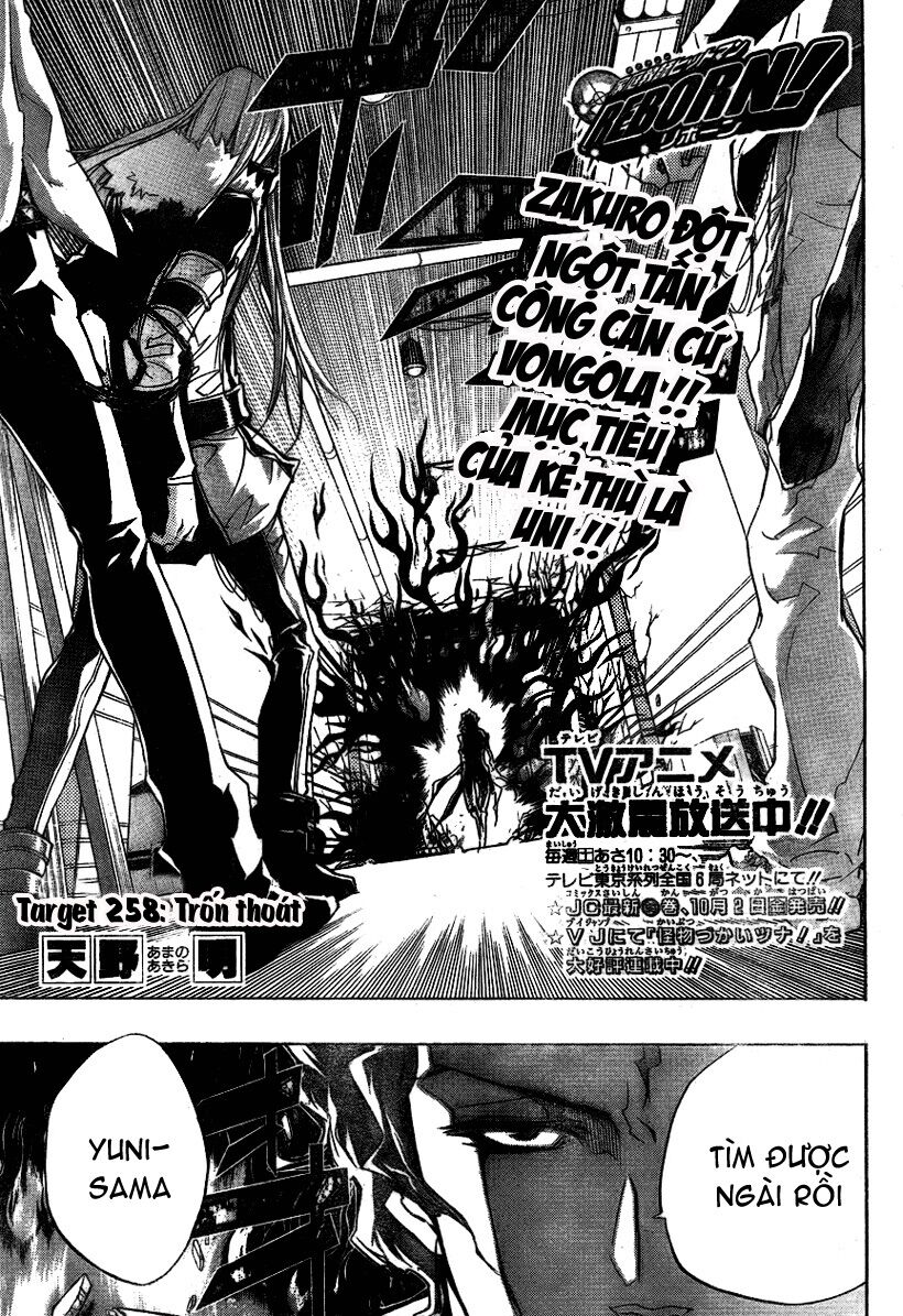 Reborn: Người đào tạo sát thủ: Chapter 258
