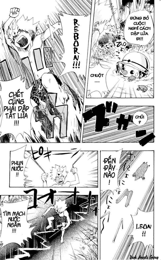 Reborn: Người đào tạo sát thủ: Chapter 30