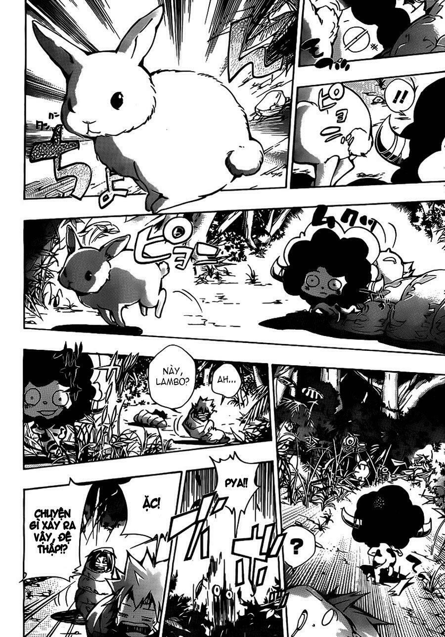 Reborn: Người đào tạo sát thủ: Chapter 309