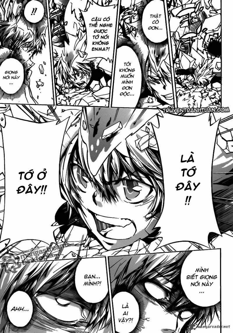 Reborn: Người đào tạo sát thủ: Chapter 331