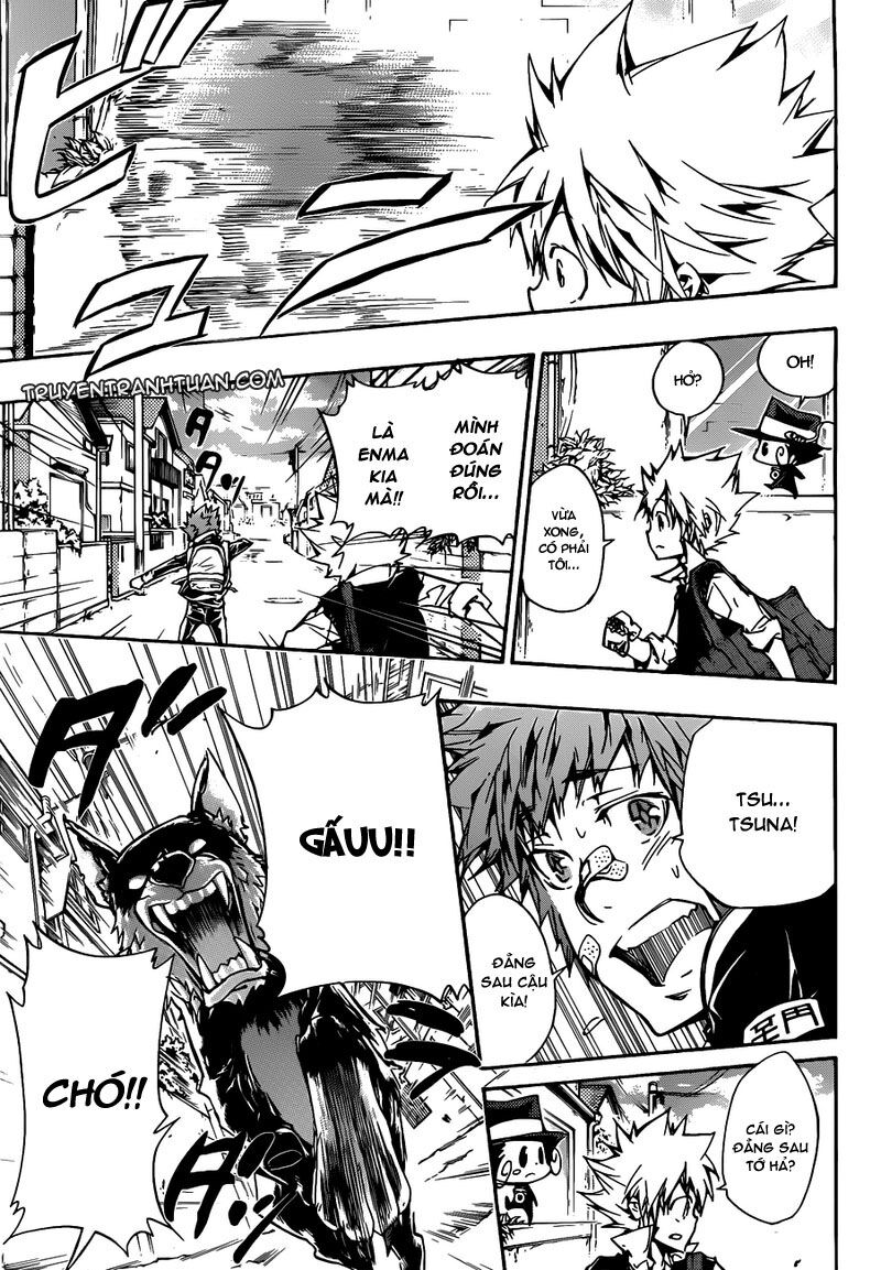 Reborn: Người đào tạo sát thủ: Chapter 346