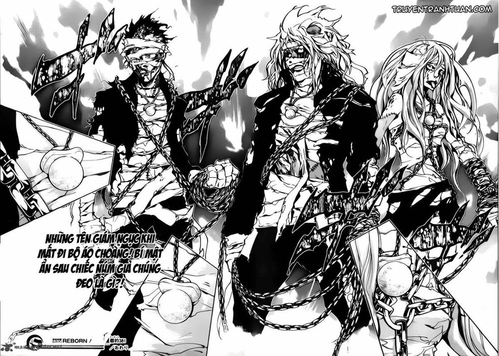 Reborn: Người đào tạo sát thủ: Chapter 381