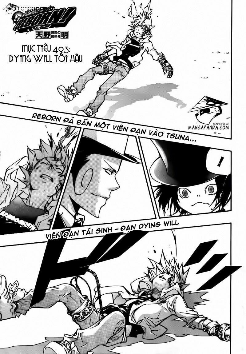 Reborn: Người đào tạo sát thủ: Chapter 403