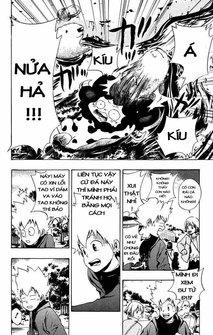 Reborn: Người đào tạo sát thủ: Chapter 42