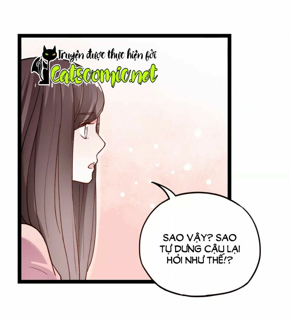 Cậu Đã Từng Yêu Tôi: Chapter 31: – END
