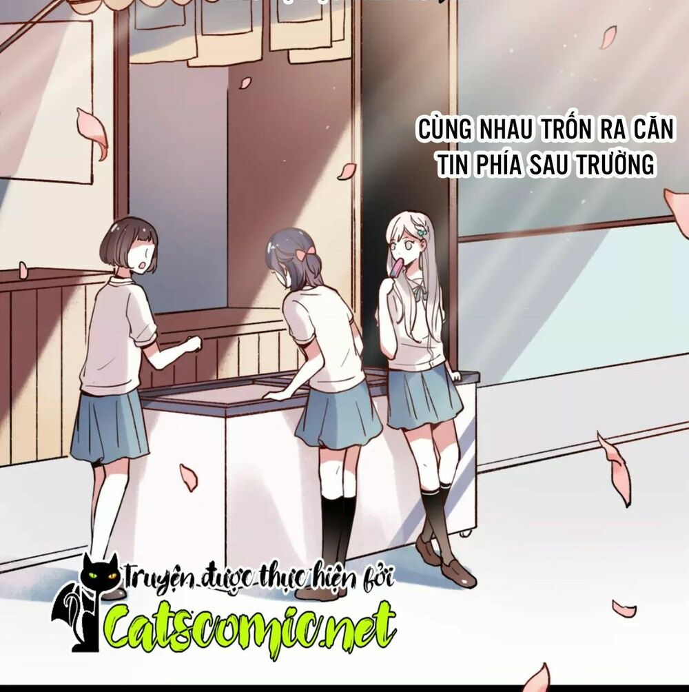 Cậu Đã Từng Yêu Tôi: Chapter 31: – END