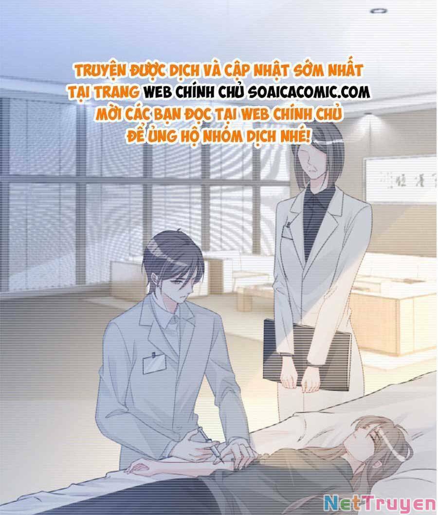 Được Các Anh Trai Chiều Chuộng Tôi Trở Nên Ngang Tàng: Chapter 155