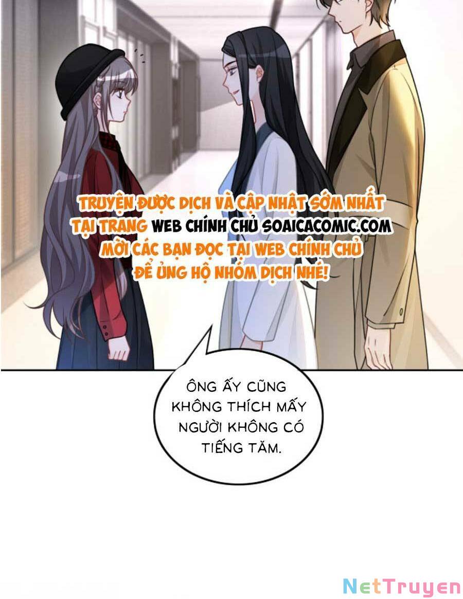 Được Các Anh Trai Chiều Chuộng Tôi Trở Nên Ngang Tàng: Chapter 162