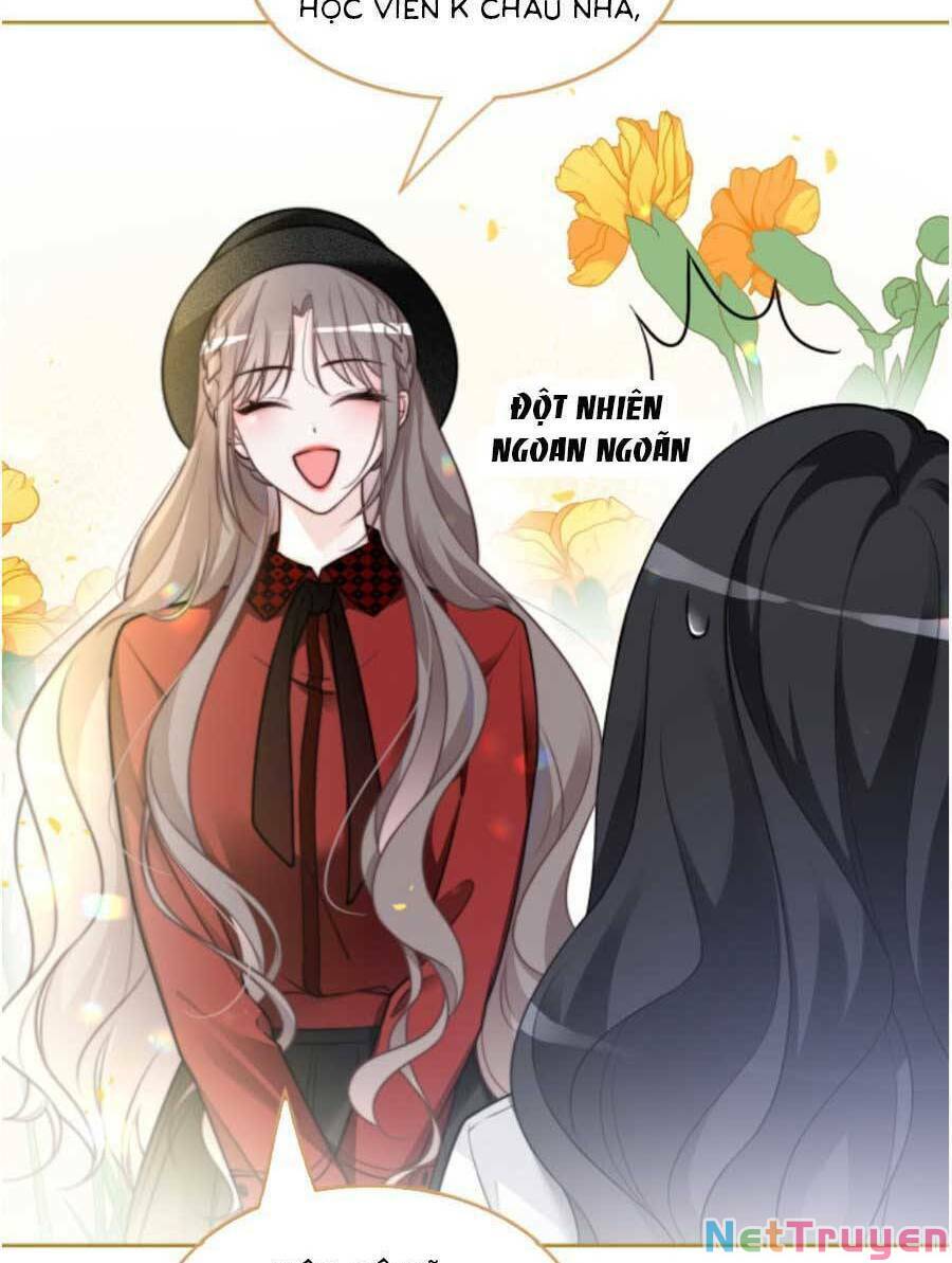 Được Các Anh Trai Chiều Chuộng Tôi Trở Nên Ngang Tàng: Chapter 164