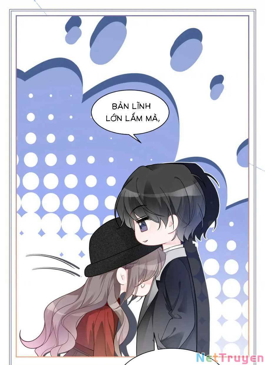 Được Các Anh Trai Chiều Chuộng Tôi Trở Nên Ngang Tàng: Chapter 167