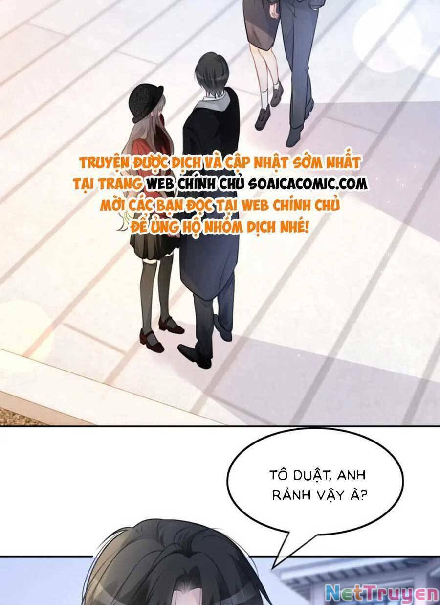 Được Các Anh Trai Chiều Chuộng Tôi Trở Nên Ngang Tàng: Chapter 167