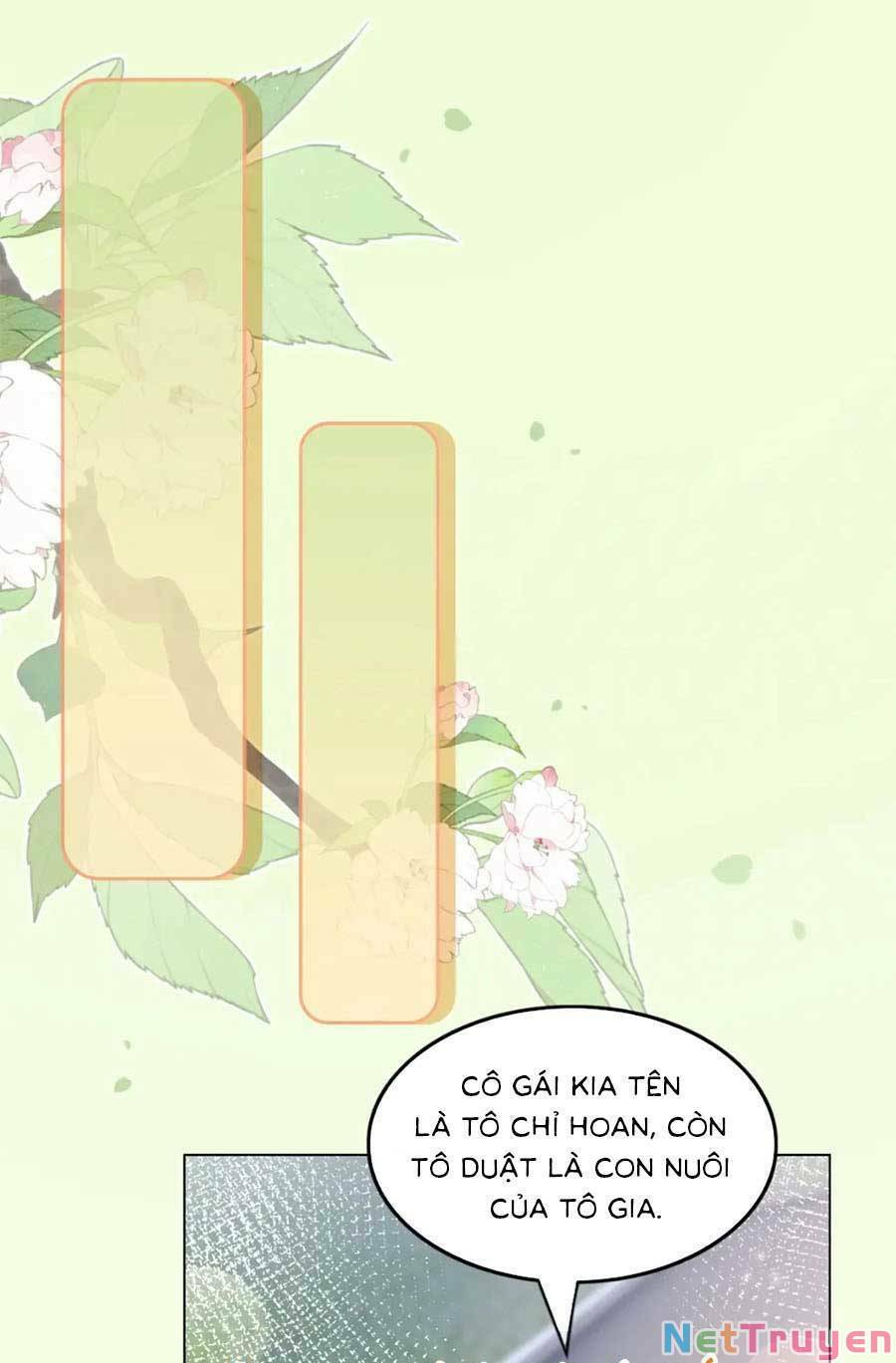 Được Các Anh Trai Chiều Chuộng Tôi Trở Nên Ngang Tàng: Chapter 167