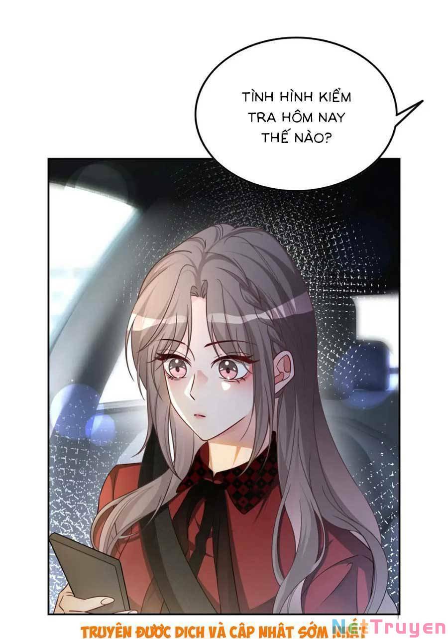 Được Các Anh Trai Chiều Chuộng Tôi Trở Nên Ngang Tàng: Chapter 167