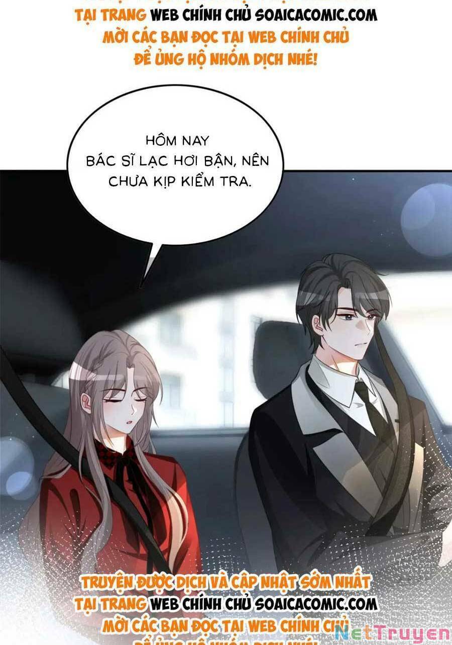Được Các Anh Trai Chiều Chuộng Tôi Trở Nên Ngang Tàng: Chapter 167