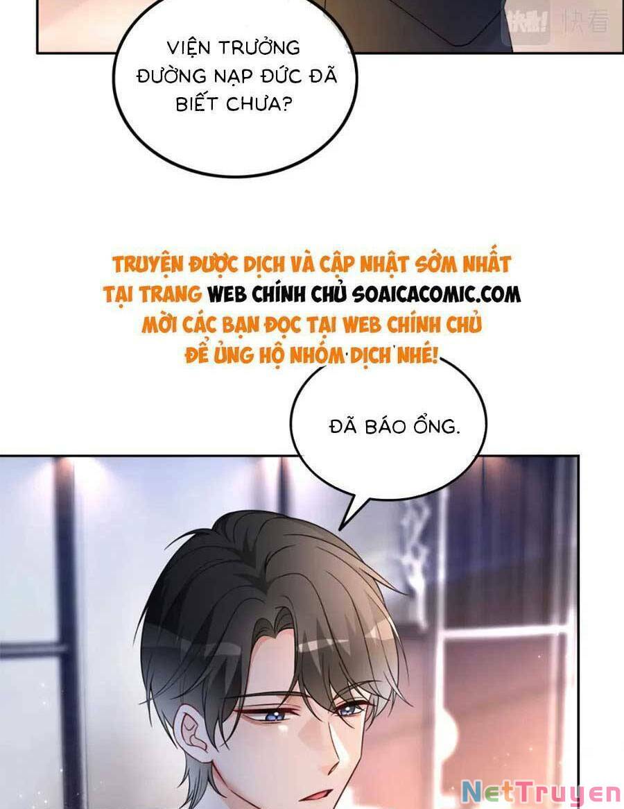 Được Các Anh Trai Chiều Chuộng Tôi Trở Nên Ngang Tàng: Chapter 168