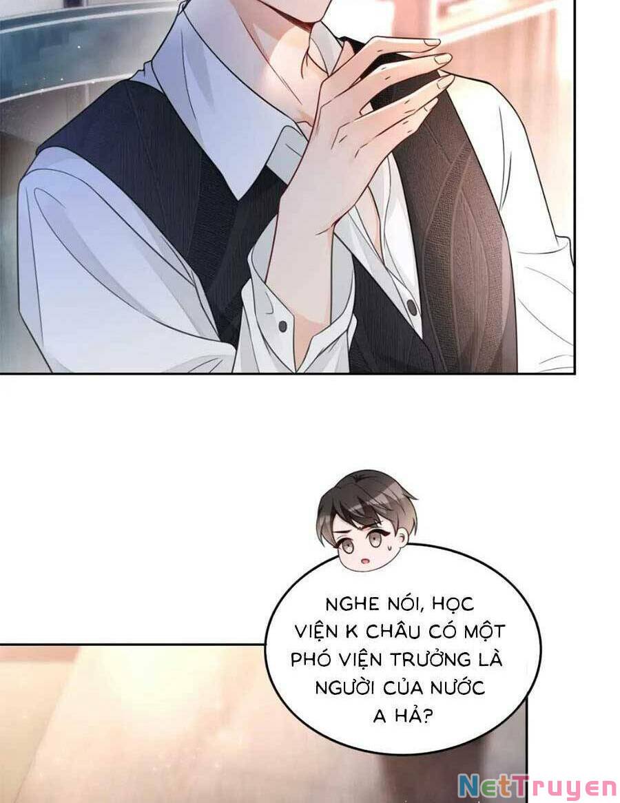 Được Các Anh Trai Chiều Chuộng Tôi Trở Nên Ngang Tàng: Chapter 168