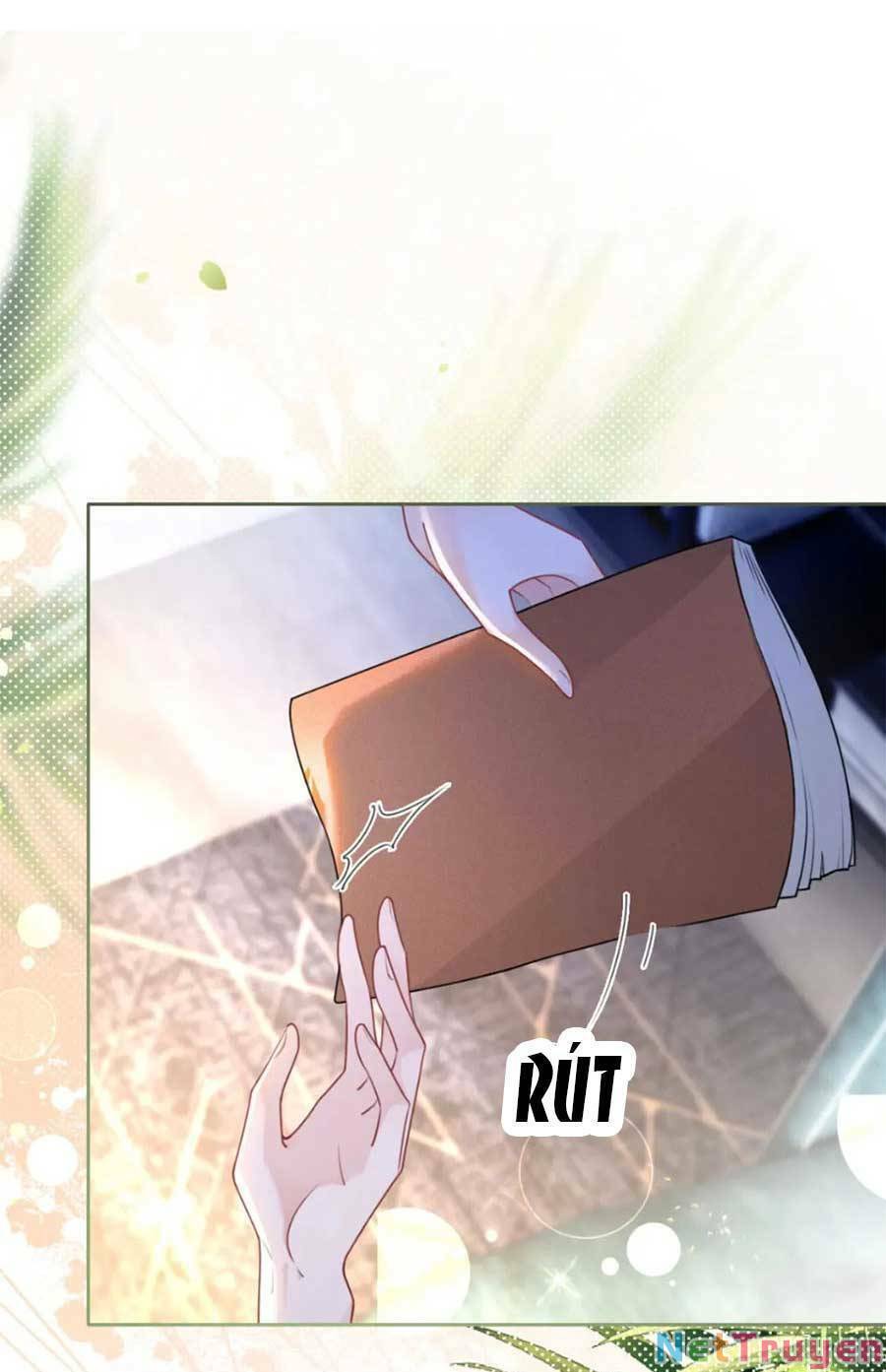 Được Các Anh Trai Chiều Chuộng Tôi Trở Nên Ngang Tàng: Chapter 168