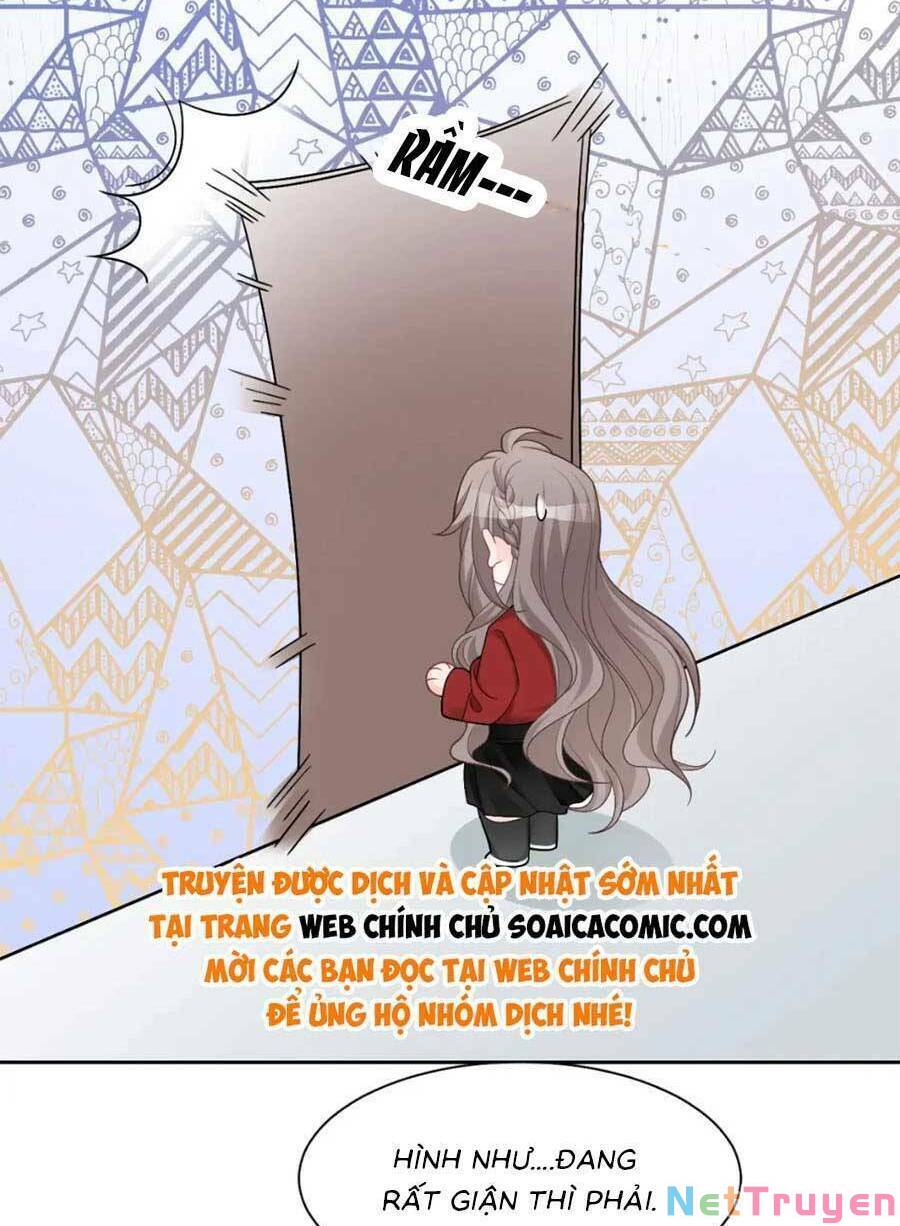 Được Các Anh Trai Chiều Chuộng Tôi Trở Nên Ngang Tàng: Chapter 168