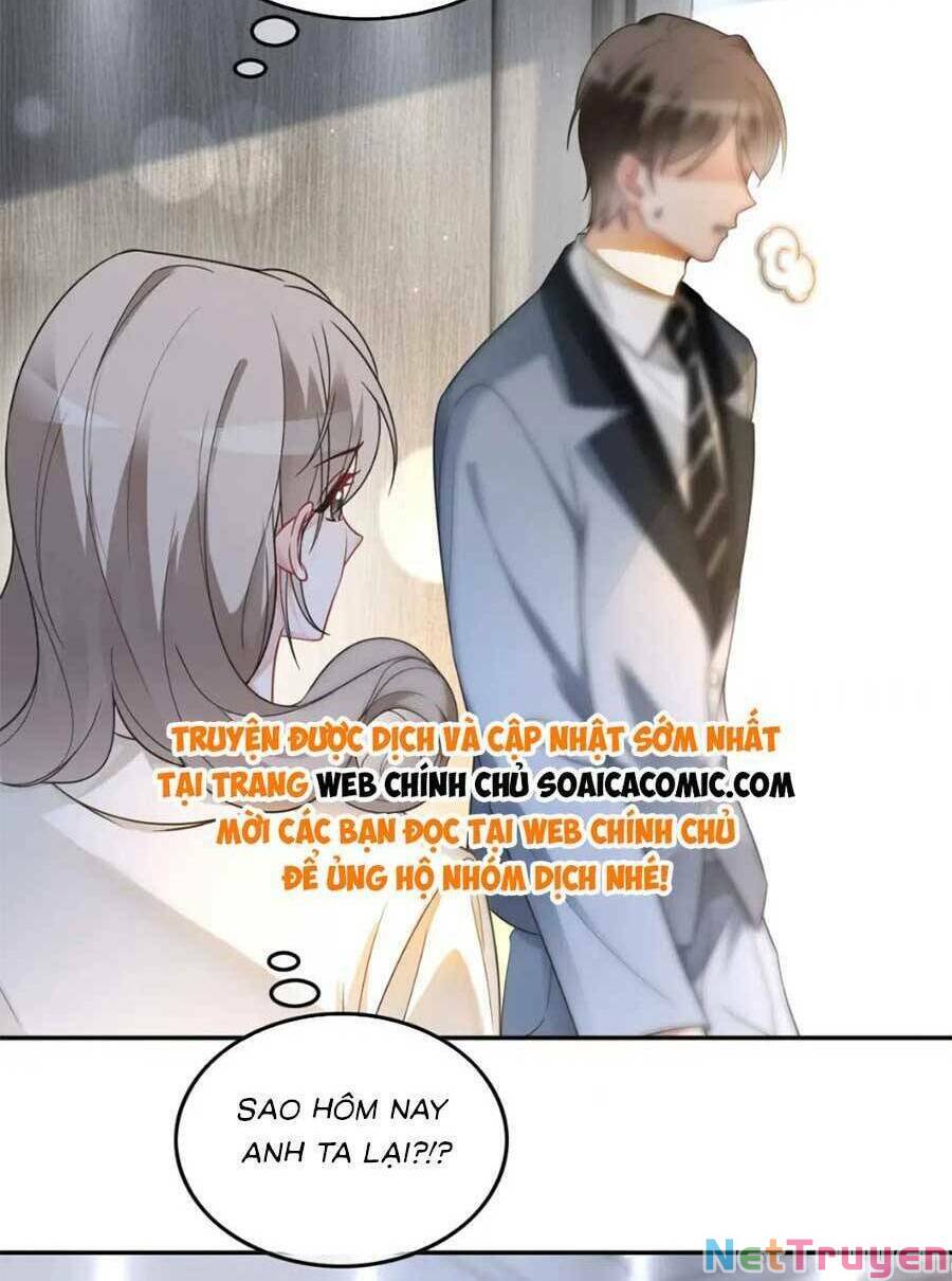 Được Các Anh Trai Chiều Chuộng Tôi Trở Nên Ngang Tàng: Chapter 170