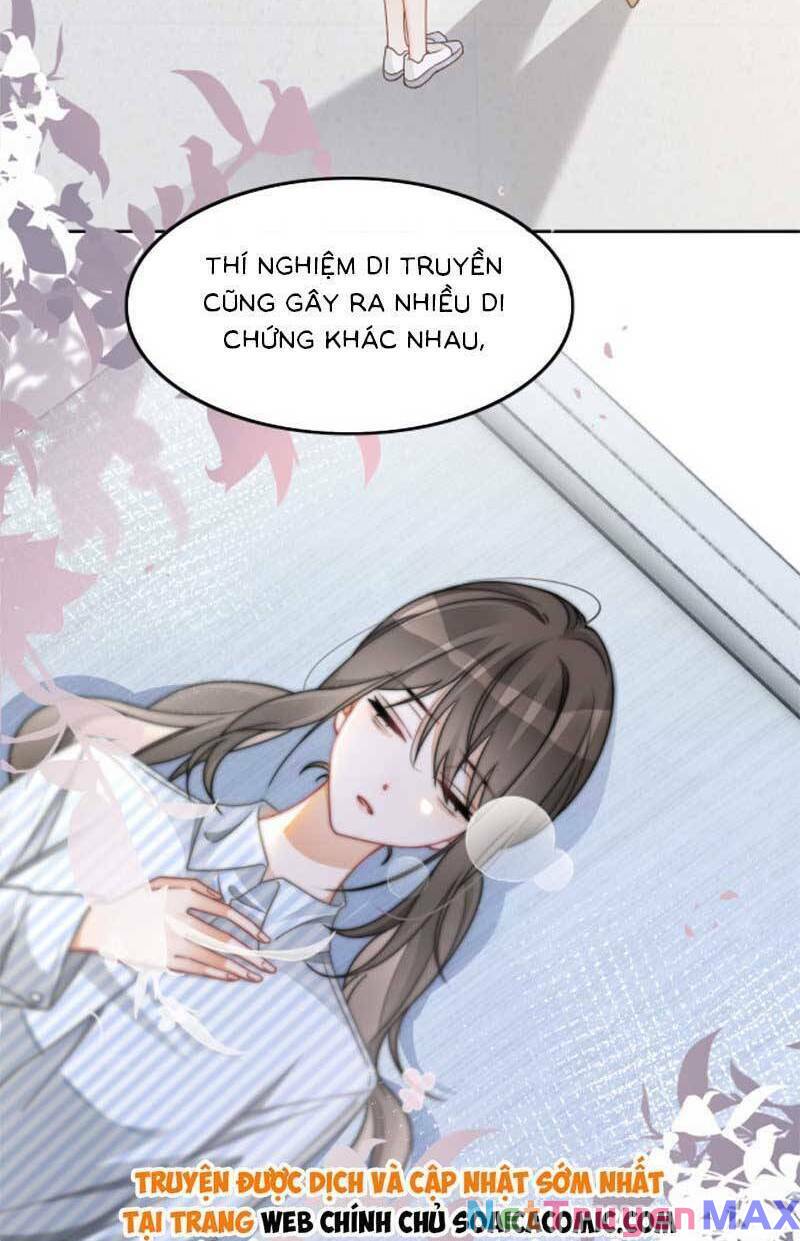 Được Các Anh Trai Chiều Chuộng Tôi Trở Nên Ngang Tàng: Chapter 184