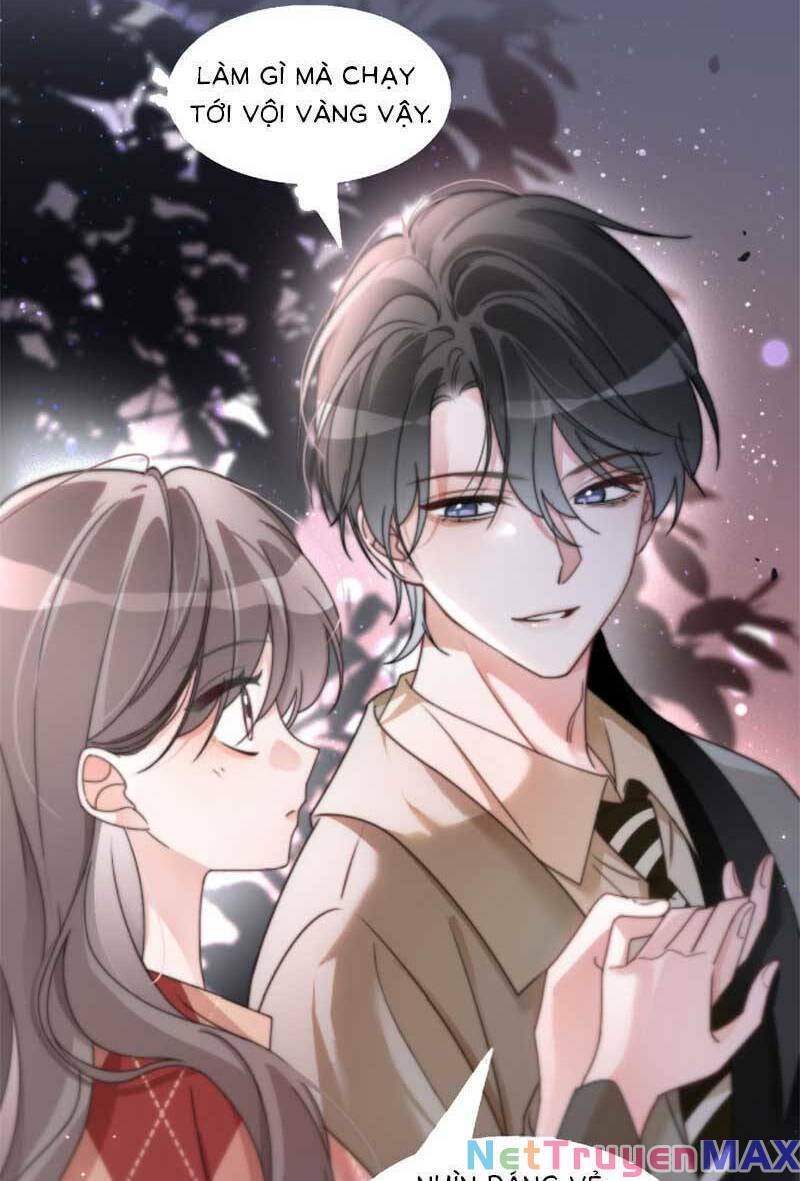 Được Các Anh Trai Chiều Chuộng Tôi Trở Nên Ngang Tàng: Chapter 185