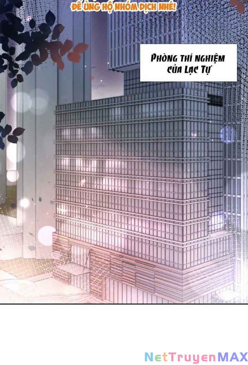 Được Các Anh Trai Chiều Chuộng Tôi Trở Nên Ngang Tàng: Chapter 185
