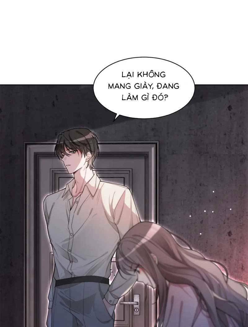 Được Các Anh Trai Chiều Chuộng Tôi Trở Nên Ngang Tàng: Chapter 208