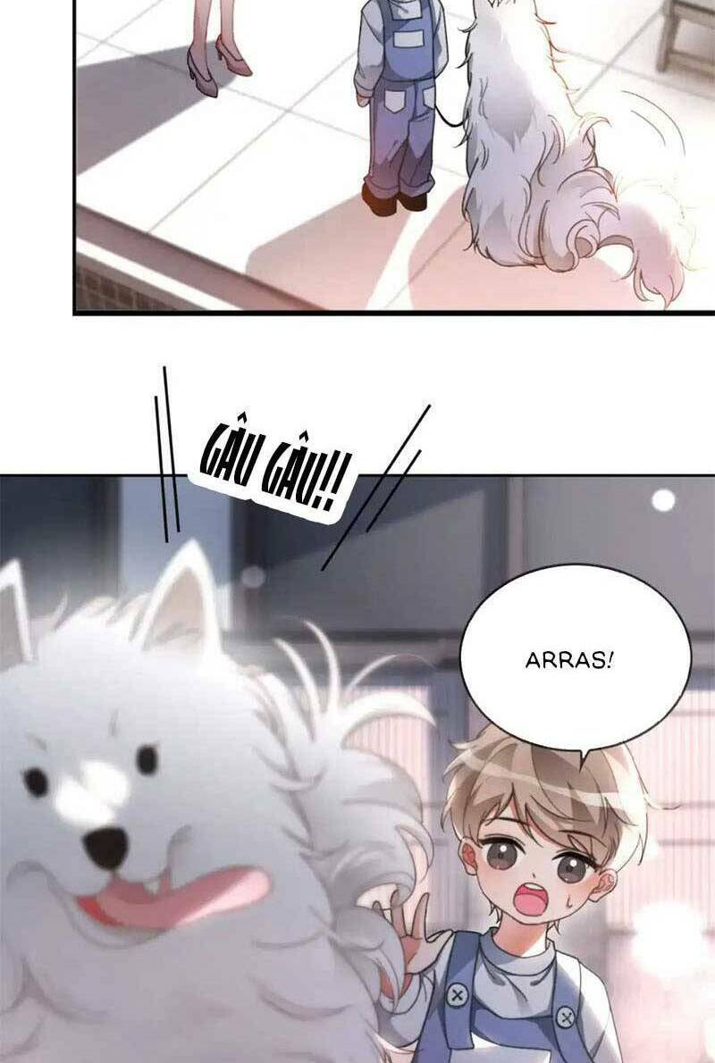 Được Các Anh Trai Chiều Chuộng Tôi Trở Nên Ngang Tàng: Chapter 255